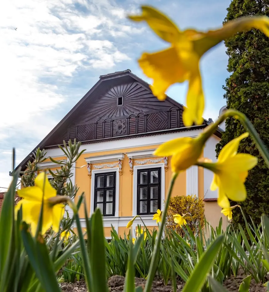 Lower Town Orom Orom Orchestra - Culture Walk